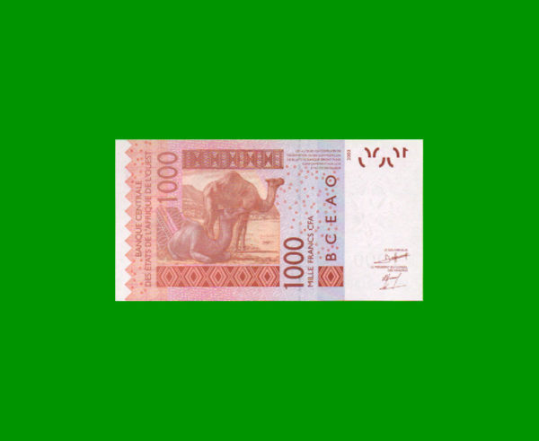 BILLETE DE
  AFRICA DEL OESTE BENIN 1000 FRANCOS, PICK 375B, ESTADO SIN CIRCULAR.- - Imagen 2