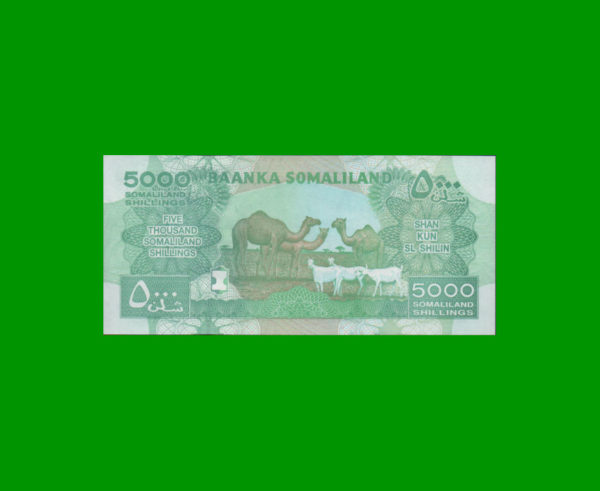 BILLETE DE
  SOMALILANDIA 5.000,00 SHILLINGS, PICK NEW, ESTADO SIN CIRCULAR.- - Imagen 2