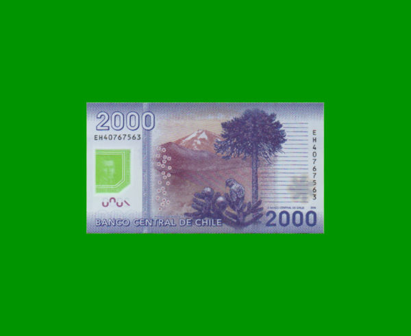 BILLETE DE
  CHILE 2.000,00 PESOS POLYMERO, PICK NEW, ESTADO SIN CIRCULAR.- - Imagen 2